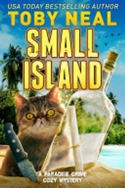 Cover of Small Island