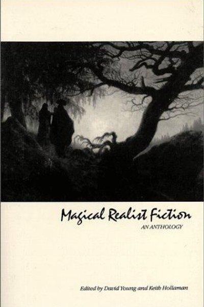 Cover of Magical realist fiction