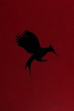 Cover of Catching Fire