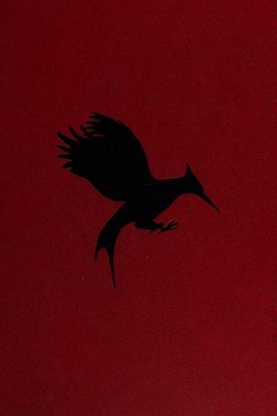 Cover of Catching Fire