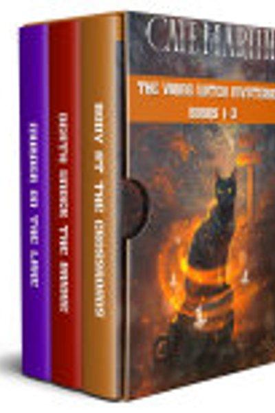 Cover of Viking Witch Cozy Mysteries Books 1-3
