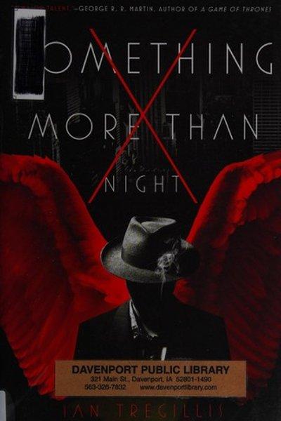 Cover of Something more than night
