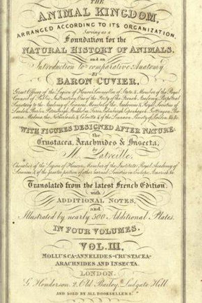 Cover of The animal kingdom