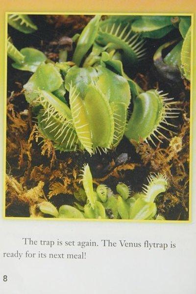 Cover of Houghton Mifflin Science California