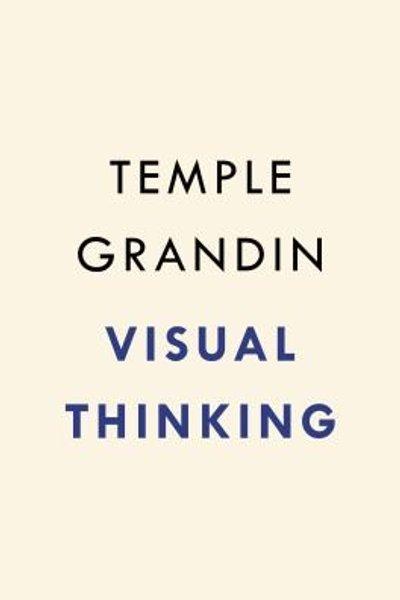 Cover of Visual Thinking