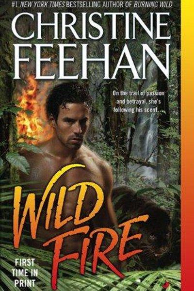 Cover of Wild Fire (Leopard)