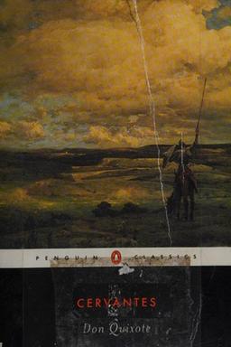 The ingenious hidalgo Don Quixote de la Mancha