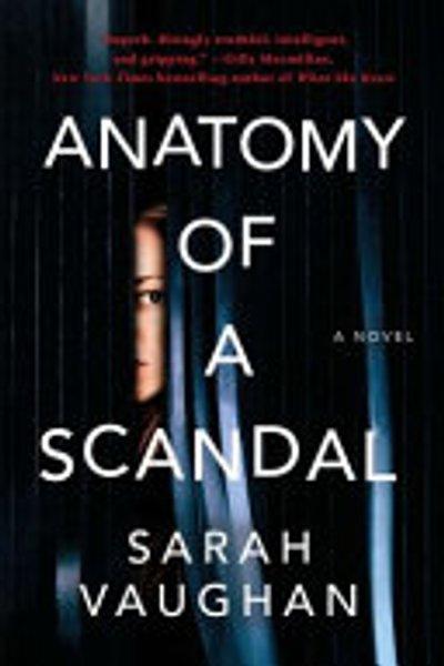 Anatomy of a Scandal: A Novel