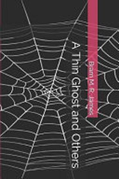Cover of A thin ghost and others