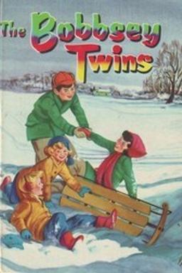 Cover of The Bobbsey Twins