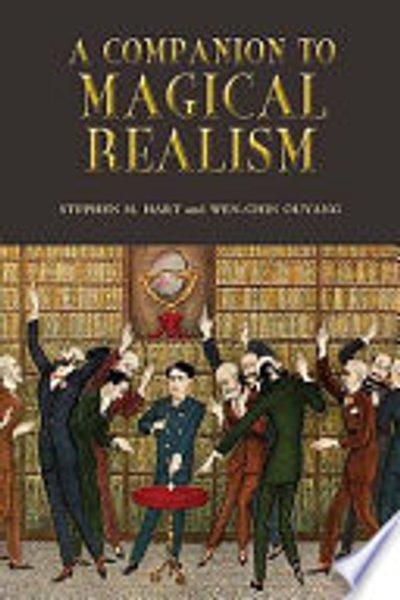 Cover of A companion to magical realism