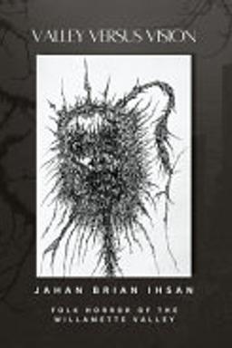 Valley Versus Vision