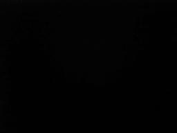 Cover of City of Bones