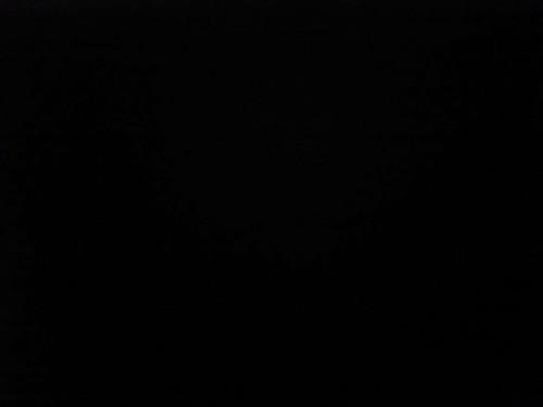 Cover of City of Bones