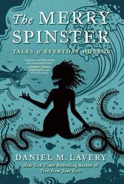 Cover of The Merry Spinster