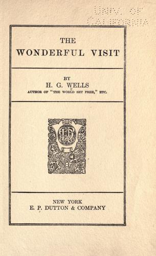 Cover of The wonderful visit