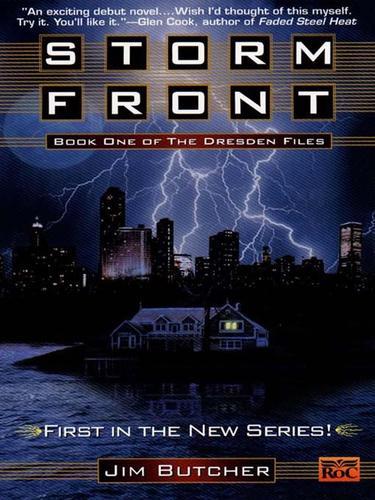 Cover of Storm Front