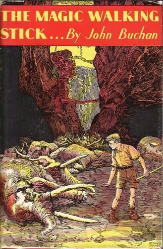 Cover of The Magic Walking-Stick