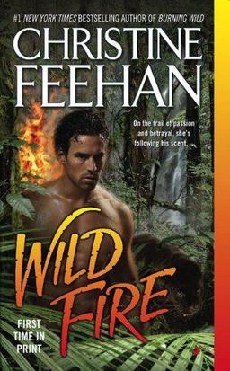 Cover of Wild Fire (Leopard)