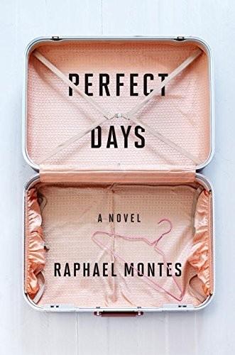 Cover of Dias Perfeitos